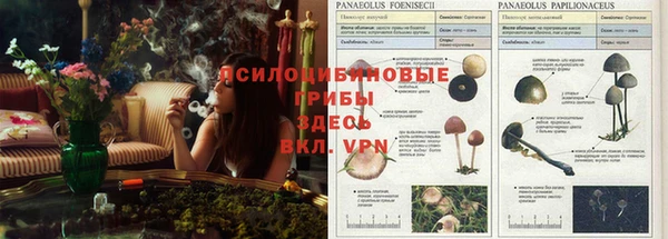 a pvp Лагань